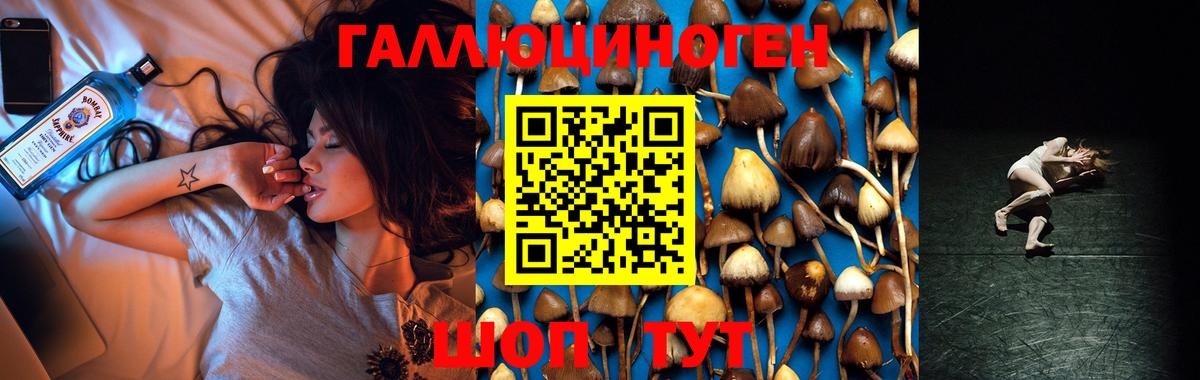 Петрозаводск  Галлюциногенные грибы мухоморы  Вход с VPN 