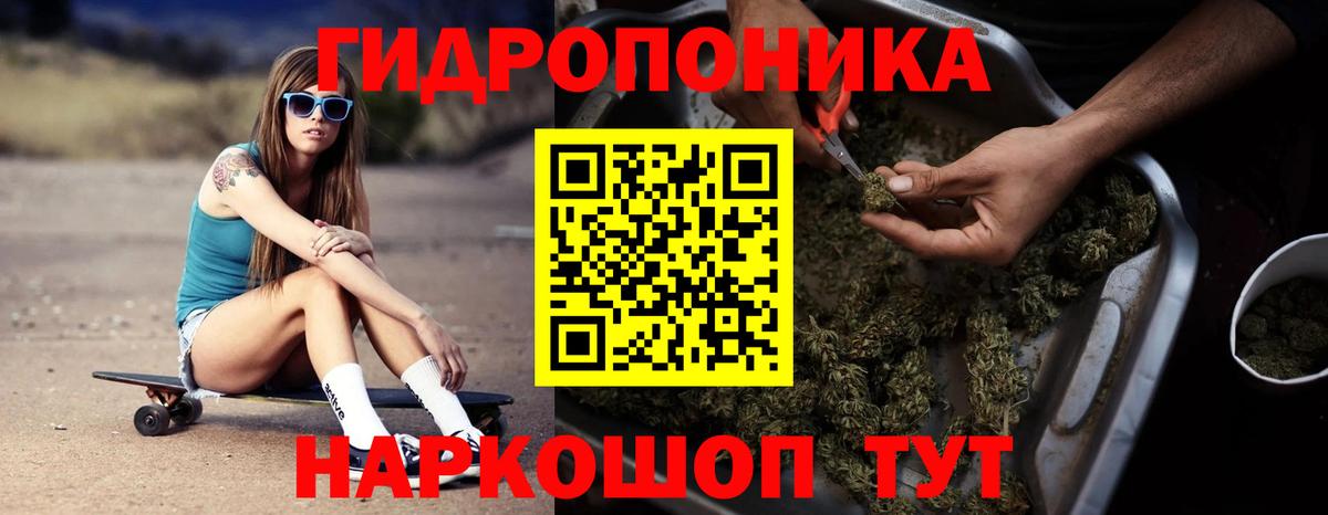Шишки марихуана марихуана Петрозаводск